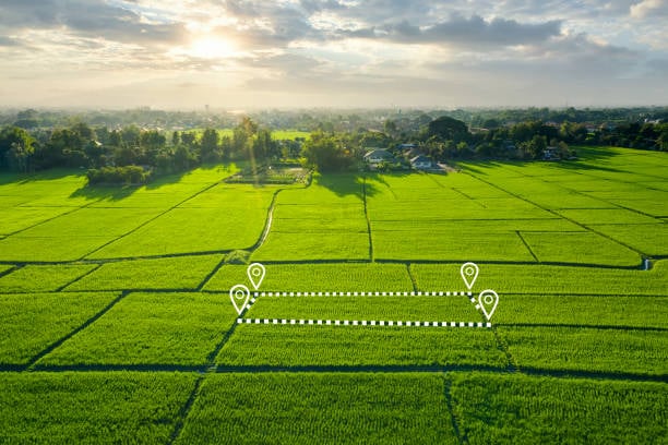 landflipping Landswift